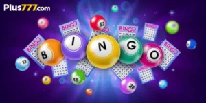 How to play Bingo